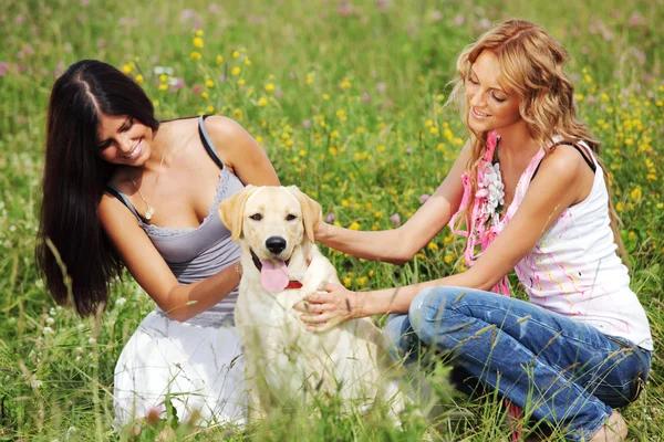 Best Dog Boarding Services in Pensacola