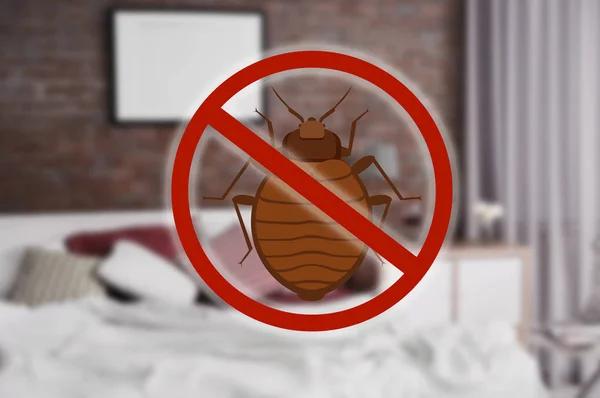 Eliminating Bed Bugs in London: Proven Techniques That Work