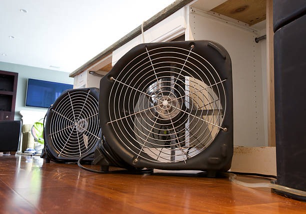 Quick & Efficient Water Damage Restoration Services Near Me