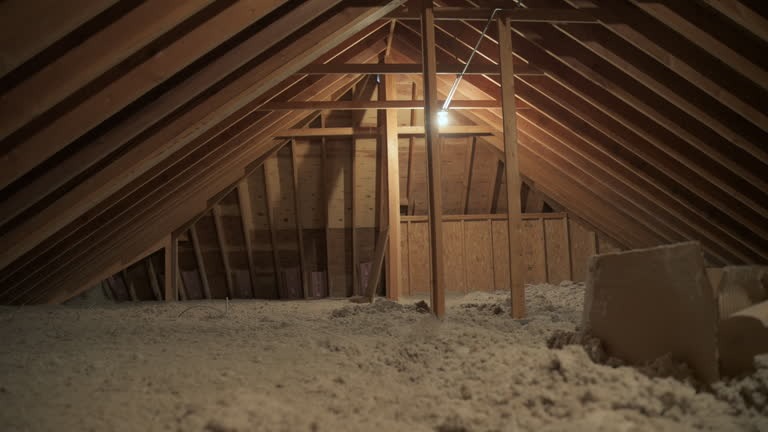 First Defense Insulation Expert Attic Insulation Solutions