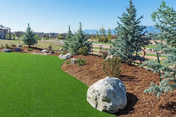 Apex Turf Brings Lush, Green Lawns Without the Hassle
