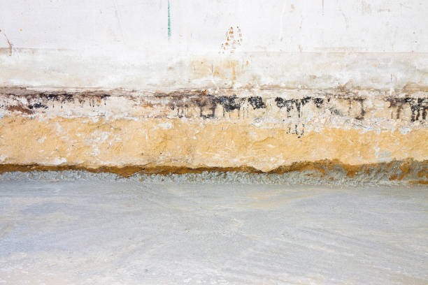 Top-Rated Crawlspace Waterproofing in Wilmington Specialists
