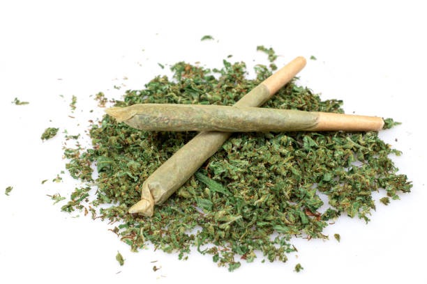 Pre Rolls Buying Guide for Better Flavor and Strong Effects